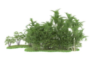 Beyaz arka planda izole edilmiş palmiye ağaçları adası. 3d görüntüleme - illüstrasyon