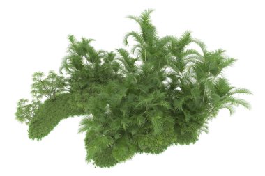 Beyaz arka planda izole edilmiş palmiye ağaçları adası. 3d görüntüleme - illüstrasyon