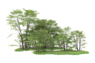 Beyaz arka planda izole edilmiş palmiye ağaçları adası. 3d görüntüleme - illüstrasyon