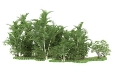 Beyaz arka planda izole edilmiş palmiye ağaçları adası. 3d görüntüleme - illüstrasyon