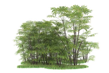 Beyaz arka planda izole edilmiş palmiye ağaçları adası. 3d görüntüleme - illüstrasyon