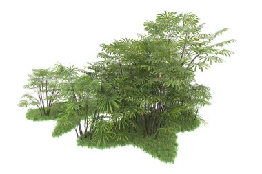 Beyaz arka planda izole edilmiş palmiye ağaçları adası. 3d görüntüleme - illüstrasyon