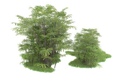 Beyaz arka planda izole edilmiş palmiye ağaçları adası. 3d görüntüleme - illüstrasyon