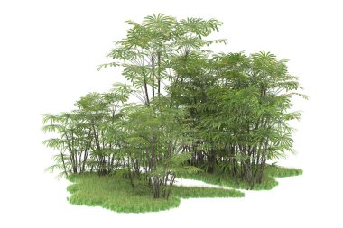 Beyaz arka planda izole edilmiş palmiye ağaçları adası. 3d görüntüleme - illüstrasyon