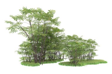 Beyaz arka planda izole edilmiş palmiye ağaçları adası. 3d görüntüleme - illüstrasyon