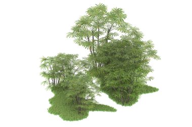 Beyaz arka planda izole edilmiş palmiye ağaçları adası. 3d görüntüleme - illüstrasyon