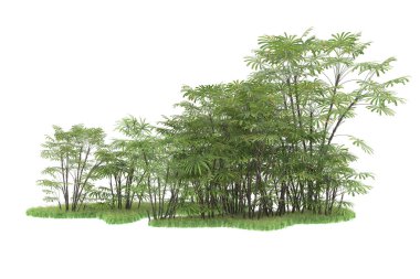 Beyaz arka planda izole edilmiş palmiye ağaçları adası. 3d görüntüleme - illüstrasyon