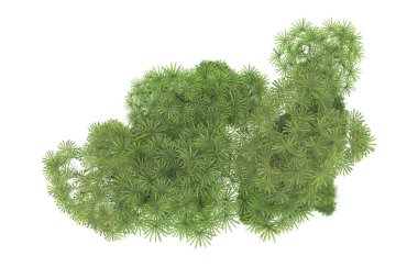 Beyaz arka planda izole edilmiş palmiye ağaçları adası. 3d görüntüleme - illüstrasyon