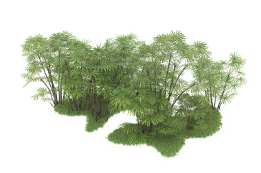 Beyaz arka planda izole edilmiş palmiye ağaçları adası. 3d görüntüleme - illüstrasyon