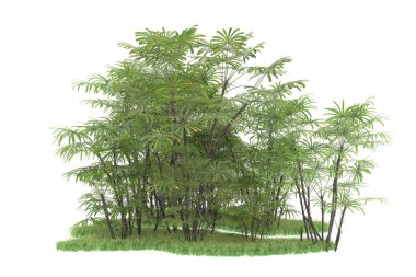 Beyaz arka planda izole edilmiş palmiye ağaçları adası. 3d görüntüleme - illüstrasyon