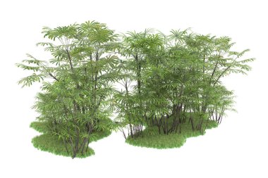 Beyaz arka planda izole edilmiş palmiye ağaçları adası. 3d görüntüleme - illüstrasyon