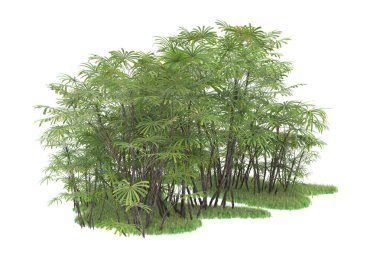 Beyaz arka planda izole edilmiş palmiye ağaçları adası. 3d görüntüleme - illüstrasyon