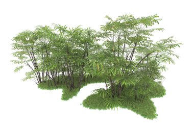 Beyaz arka planda izole edilmiş palmiye ağaçları adası. 3d görüntüleme - illüstrasyon