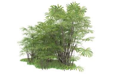 Beyaz arka planda izole edilmiş palmiye ağaçları adası. 3d görüntüleme - illüstrasyon