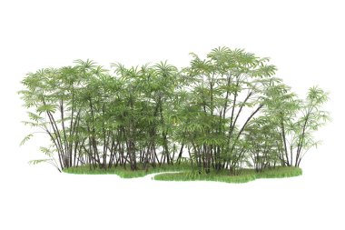 Beyaz arka planda izole edilmiş palmiye ağaçları adası. 3d görüntüleme - illüstrasyon