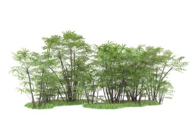 Beyaz arka planda izole edilmiş palmiye ağaçları adası. 3d görüntüleme - illüstrasyon