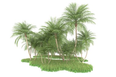 Beyaz arka planda izole edilmiş palmiye ağaçları adası. 3d görüntüleme - illüstrasyon
