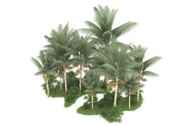 Beyaz arka planda izole edilmiş palmiye ağaçları adası. 3d görüntüleme - illüstrasyon