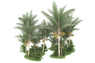 Beyaz arka planda izole edilmiş palmiye ağaçları adası. 3d görüntüleme - illüstrasyon