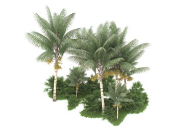 Beyaz arka planda izole edilmiş palmiye ağaçları adası. 3d görüntüleme - illüstrasyon