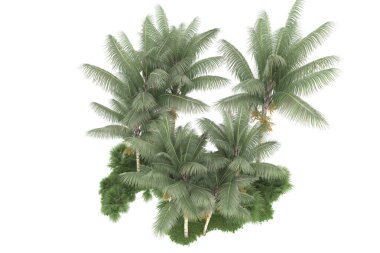 Beyaz arka planda izole edilmiş palmiye ağaçları adası. 3d görüntüleme - illüstrasyon