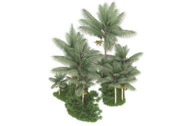 Beyaz arka planda izole edilmiş palmiye ağaçları adası. 3d görüntüleme - illüstrasyon