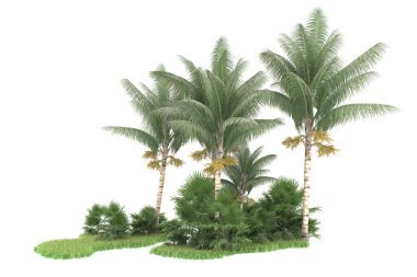 Beyaz arka planda izole edilmiş palmiye ağaçları adası. 3d görüntüleme - illüstrasyon