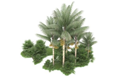 Beyaz arka planda izole edilmiş palmiye ağaçları adası. 3d görüntüleme - illüstrasyon