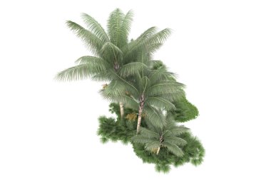 Beyaz arka planda izole edilmiş palmiye ağaçları adası. 3d görüntüleme - illüstrasyon