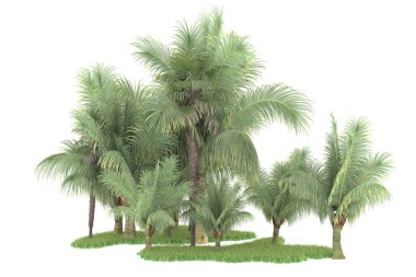 Beyaz arka planda izole edilmiş palmiye ağaçları adası. 3d görüntüleme - illüstrasyon