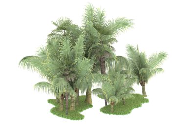 Beyaz arka planda izole edilmiş palmiye ağaçları adası. 3d görüntüleme - illüstrasyon