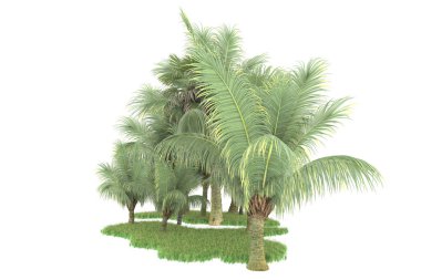 Beyaz arka planda izole edilmiş palmiye ağaçları adası. 3d görüntüleme - illüstrasyon