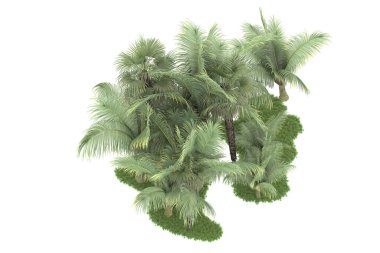 Beyaz arka planda izole edilmiş palmiye ağaçları adası. 3d görüntüleme - illüstrasyon