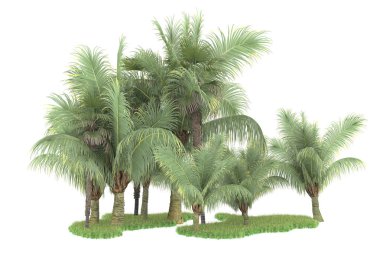 Beyaz arka planda izole edilmiş palmiye ağaçları adası. 3d görüntüleme - illüstrasyon