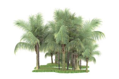 Beyaz arka planda izole edilmiş palmiye ağaçları adası. 3d görüntüleme - illüstrasyon