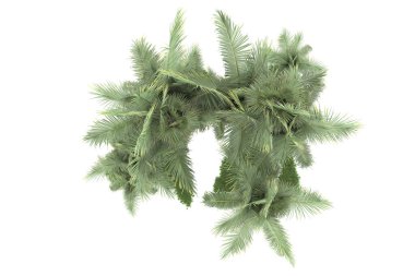 Beyaz arka planda izole edilmiş palmiye ağaçları adası. 3d görüntüleme - illüstrasyon