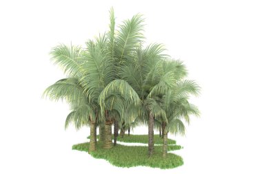 Beyaz arka planda izole edilmiş palmiye ağaçları adası. 3d görüntüleme - illüstrasyon