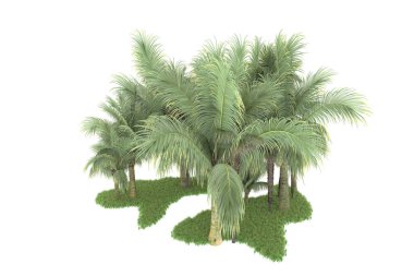 Beyaz arka planda izole edilmiş palmiye ağaçları adası. 3d görüntüleme - illüstrasyon