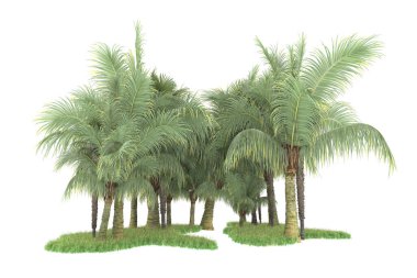 Beyaz arka planda izole edilmiş palmiye ağaçları adası. 3d görüntüleme - illüstrasyon