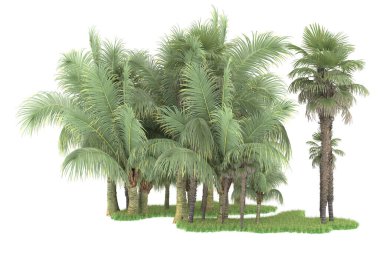 Beyaz arka planda izole edilmiş palmiye ağaçları adası. 3d görüntüleme - illüstrasyon