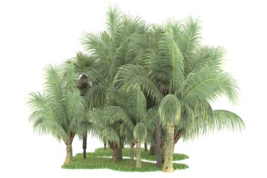 Beyaz arka planda izole edilmiş palmiye ağaçları adası. 3d görüntüleme - illüstrasyon