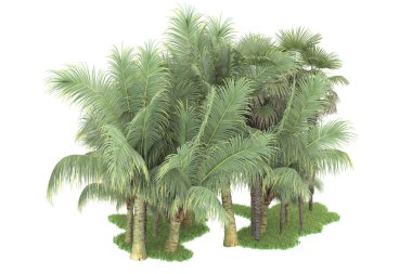 Beyaz arka planda izole edilmiş palmiye ağaçları adası. 3d görüntüleme - illüstrasyon