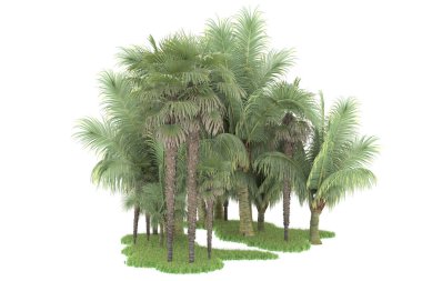 Beyaz arka planda izole edilmiş palmiye ağaçları adası. 3d görüntüleme - illüstrasyon