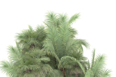 Beyaz arka planda izole edilmiş palmiye ağaçları adası. 3d görüntüleme - illüstrasyon