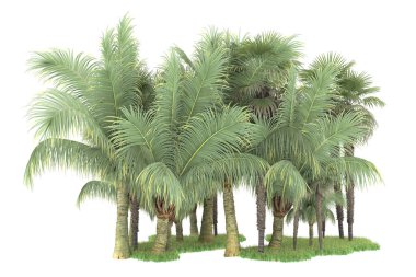 Beyaz arka planda izole edilmiş palmiye ağaçları adası. 3d görüntüleme - illüstrasyon