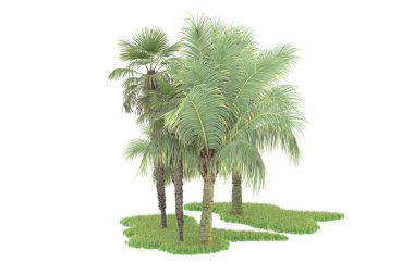 Beyaz arka planda izole edilmiş palmiye ağaçları adası. 3d görüntüleme - illüstrasyon
