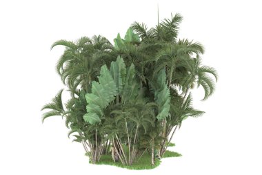 Beyaz arka planda izole edilmiş palmiye ağaçları adası. 3d görüntüleme - illüstrasyon