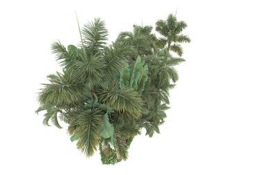 Beyaz arka planda izole edilmiş palmiye ağaçları adası. 3d görüntüleme - illüstrasyon