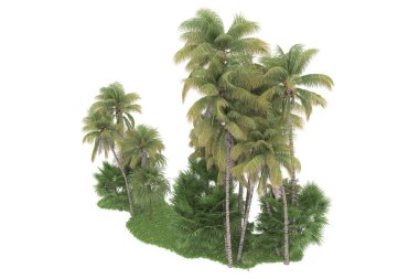 Beyaz arka planda izole edilmiş palmiye ağaçları adası. 3d görüntüleme - illüstrasyon