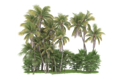 Beyaz arka planda izole edilmiş palmiye ağaçları adası. 3d görüntüleme - illüstrasyon